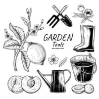 Sketch vector set of gardening tools. Fork, Trowel, Bucket, Watering can, Boots, Lemon branch, Peach and Olive Hand drawn illustration