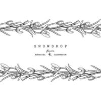 Sketch Floral decorative set. Snowdrop flower drawings. Seamless Black and white with line art isolated on white backgrounds. Hand Drawn Botanical Illustrations. Elements vector. vector
