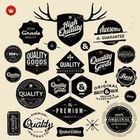 Vintage badges design vector