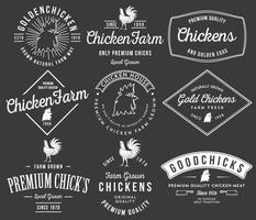 Vector badges and labels design