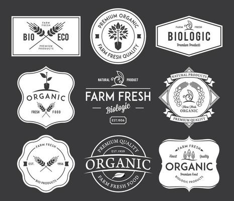 Vector badges and labels design