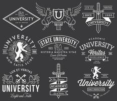 Vector badges and labels design