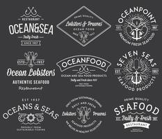 Vector badges and labels design