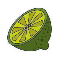 fruta cítrica de limón aislado vector