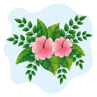 cute flowers pink with branches and leafs naturals vector