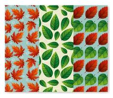 set of backgrounds of leafs naturals vector