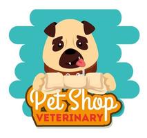 pet shop veterinary with little dog vector