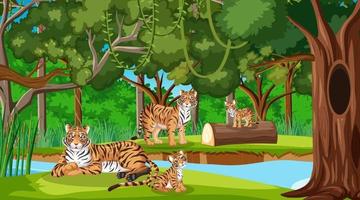 Forest or rainforest scene with tiger family vector