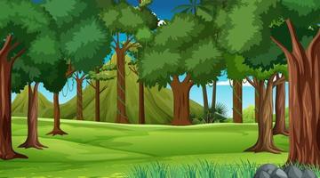 Forest scene with various forest trees and mountain vector