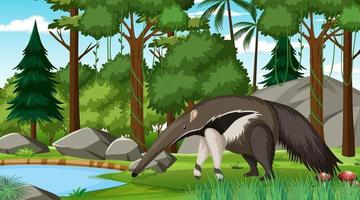 An anteater in forest scene with many trees vector