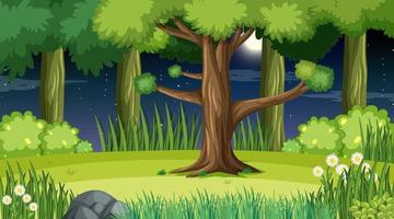 Forest landscape scene at night with many trees vector