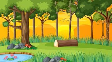 Forest landscape scene at sunset time with many different trees vector