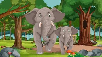 Mamá elefante y bebé en el bosque o la escena de la selva tropical con muchos árboles vector