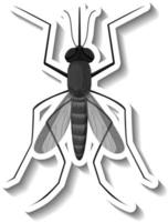 A sticker template with top view of mosquito isolated vector