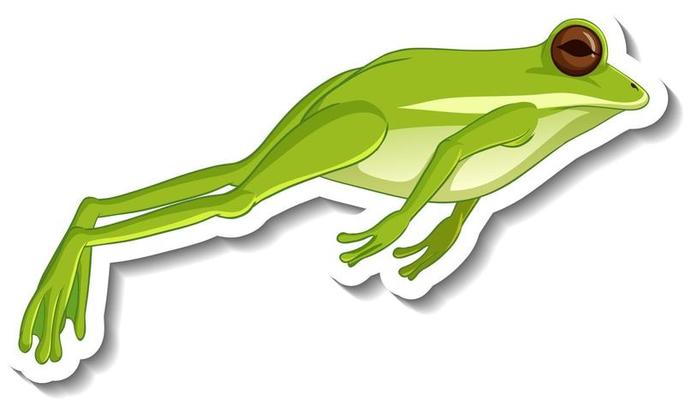 A sticker template with a green frog jumping isolated