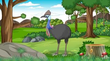 A cassowary in forest or tropical forest at daytime scene vector