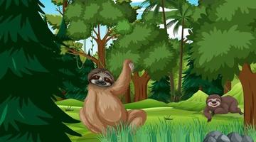 Sloth in forest at daytime scene with many trees vector