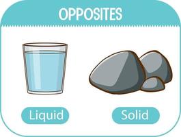 Opposite words with liquid and solid vector