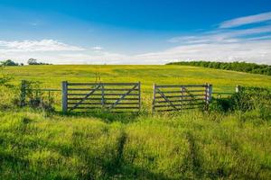 The Open Gate photo