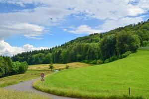 bosque en suiza foto