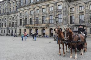 The beautiful Amsterdam in june photo