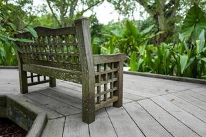 Bench in the Botanic Garden in Singapore photo