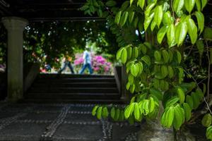 The Botanic Garden in Kuala Lumpur photo