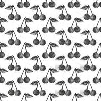 Cherries hand drawn seamless pattern, fruits background vector illustration.