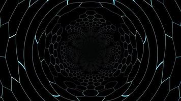 hexagon abstract spider reduce size and change to raise on screen background video