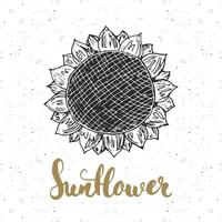 Sunflower sketch, Vintage label, Hand drawn grunge textured badge, retro logo template, typography design vector illustration