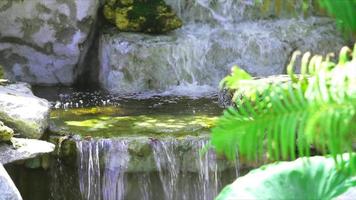 cachoeira foco background e desfoque de samambaia verde em primeiro plano
