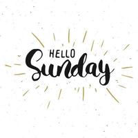 Hello Sunday lettering quote, Hand drawn calligraphic sign. Vector illustration