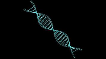 DNA digital structure science biotechnology animation 3D rotate on black screen