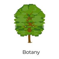 Natural Botanical Tree vector