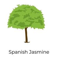 árbol de jazmín español vector