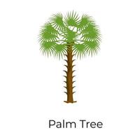 diseño de palmera vector