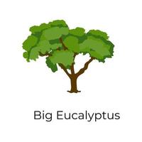 gran árbol de eucalipto vector