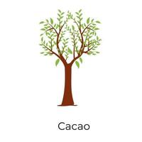 diseño del árbol de cacao vector