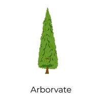 diseño de árbol arborvitae vector