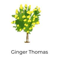 Ginger Thomas Tree vector