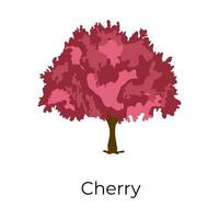 Beautiful Cherry Tree vector