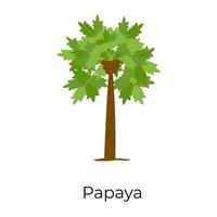 diseño de árbol de papaya vector