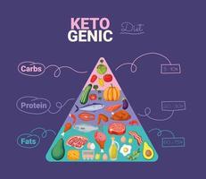 ketogenic diet pyramid vector