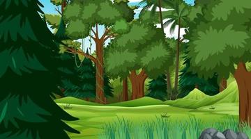 Rainforest or tropical forest at daytime scene vector