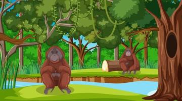 orangután en el bosque o la escena de la selva tropical con muchos árboles vector