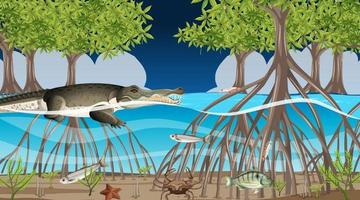 Animals live in mangrove forest at night scene vector