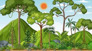 Forest landscape scene at day time with many different trees vector