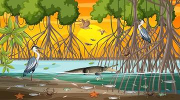 Mangrove forest landscape scene at sunset time with many different animals vector