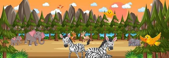 Forest panorama at sunset time scene with various wild animals vector