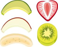 Sliced mixed fruit  on white background vector